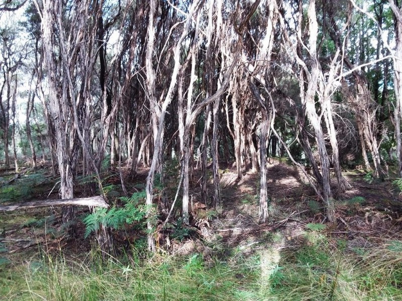 50 Smiths Road, Roland TAS 7306