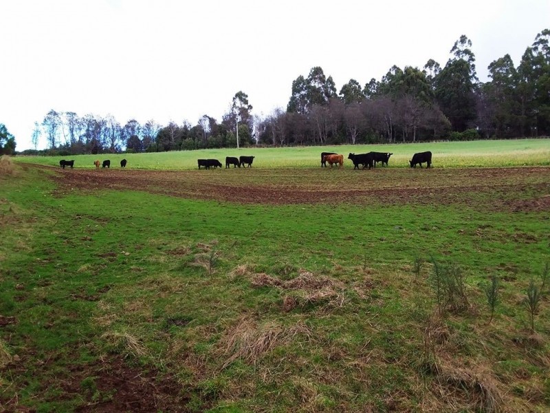 50 Smiths Road, Roland TAS 7306