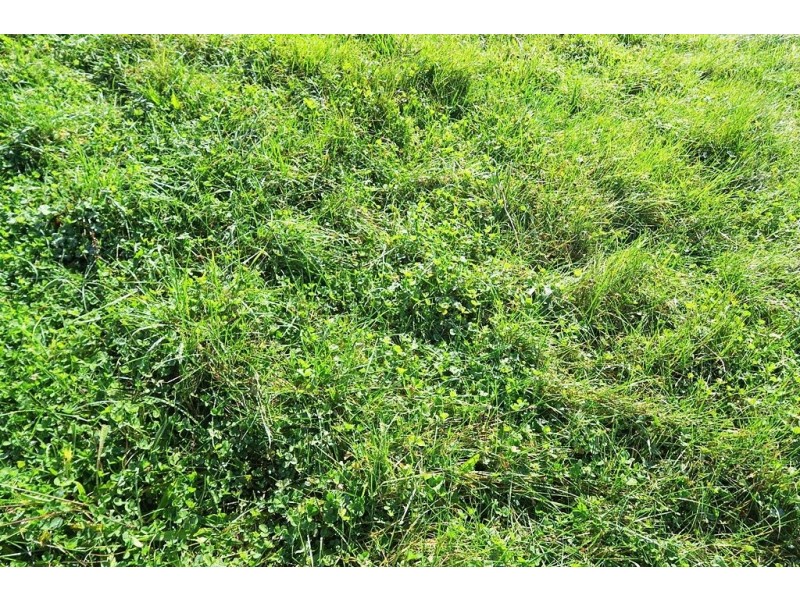 50 Smiths Road, Roland TAS 7306