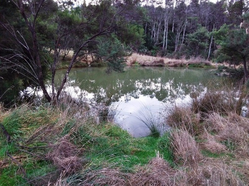 50 Smiths Road, Roland TAS 7306