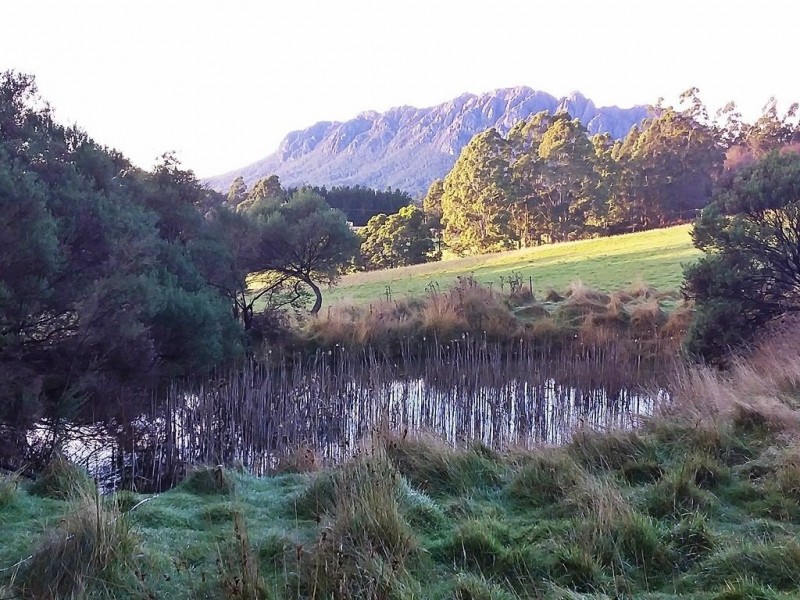 50 Smiths Road, Roland TAS 7306