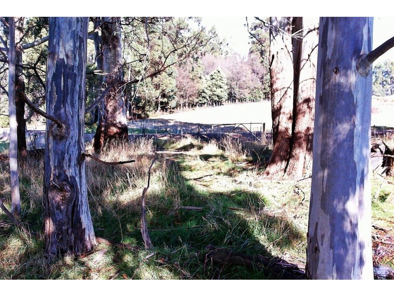 50 Smiths Road, Roland TAS 7306