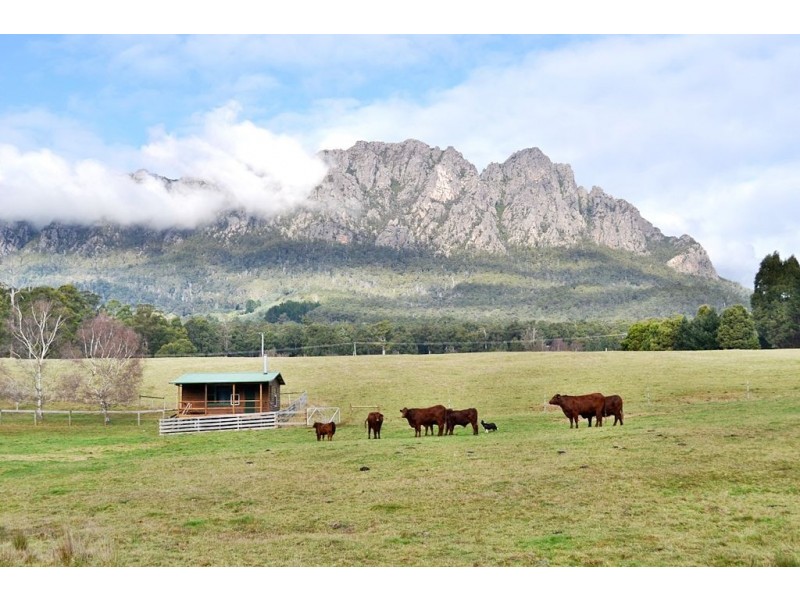 916 Claude Road, Sheffield TAS 7306