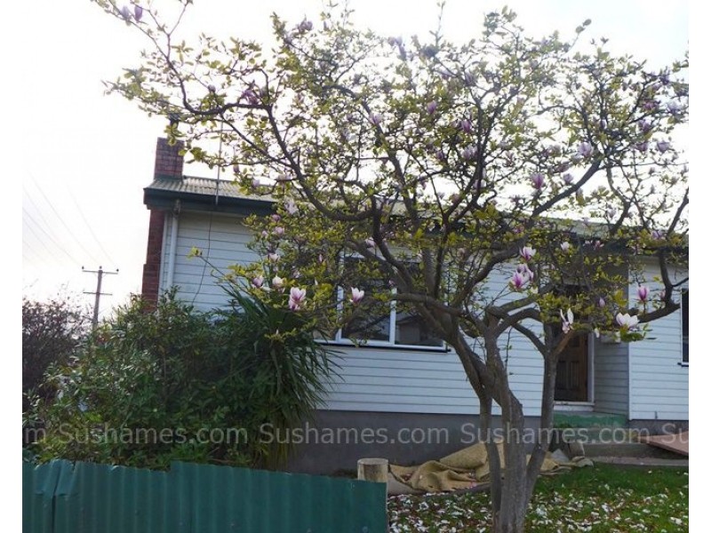 80 York Street, Devonport TAS 7310