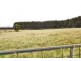 864 Cradle Mountain Road, Erriba TAS 7310