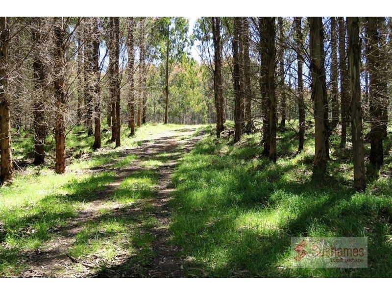 44 Lonah Road, Staverton TAS 7306