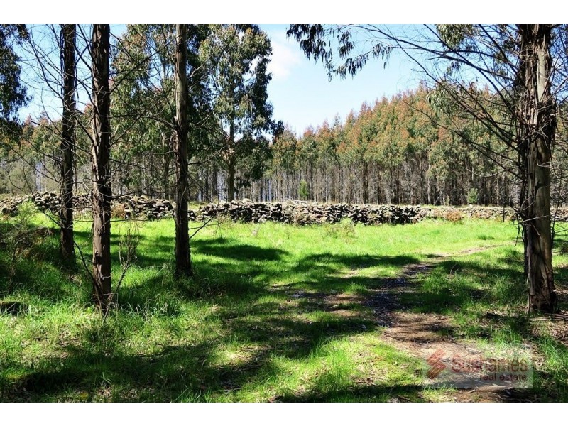 44 Lonah Road, Staverton TAS 7306