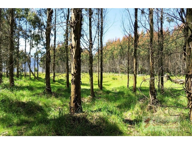 44 Lonah Road, Staverton TAS 7306