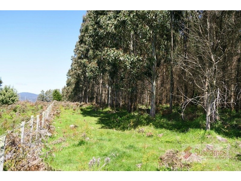 44 Lonah Road, Staverton TAS 7306