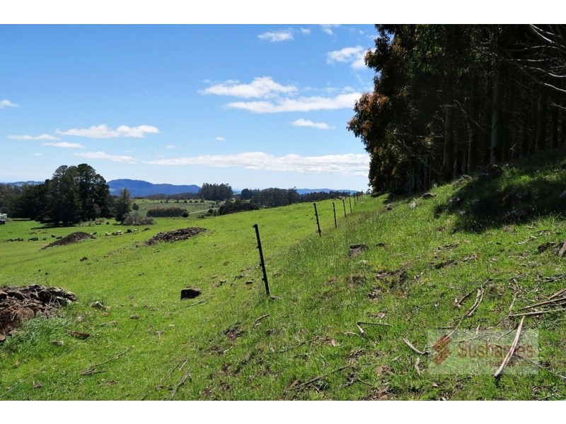 44 Lonah Road, Staverton TAS 7306
