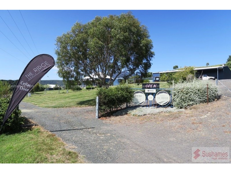 106 Browns Road, North Lilydale TAS 7268