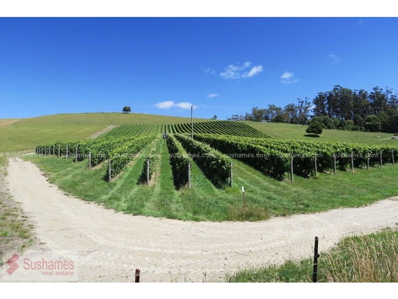 106 Browns Road, North Lilydale TAS 7268