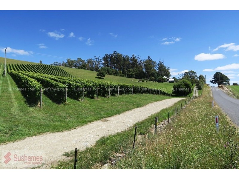 106 Browns Road, North Lilydale TAS 7268