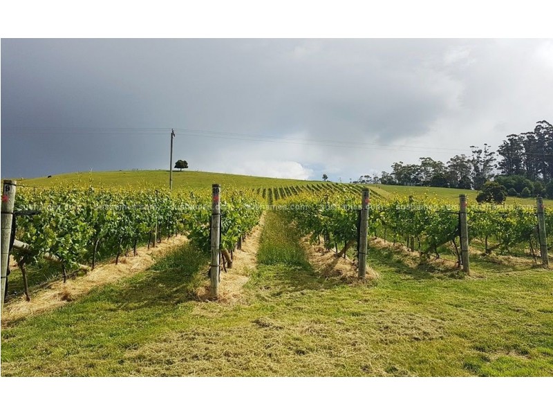 106 Browns Road, North Lilydale TAS 7268