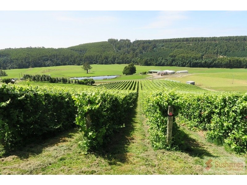 106 Browns Road, North Lilydale TAS 7268