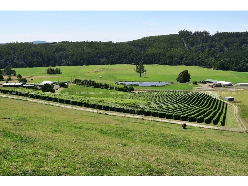 106 Browns Road, North Lilydale TAS 7268