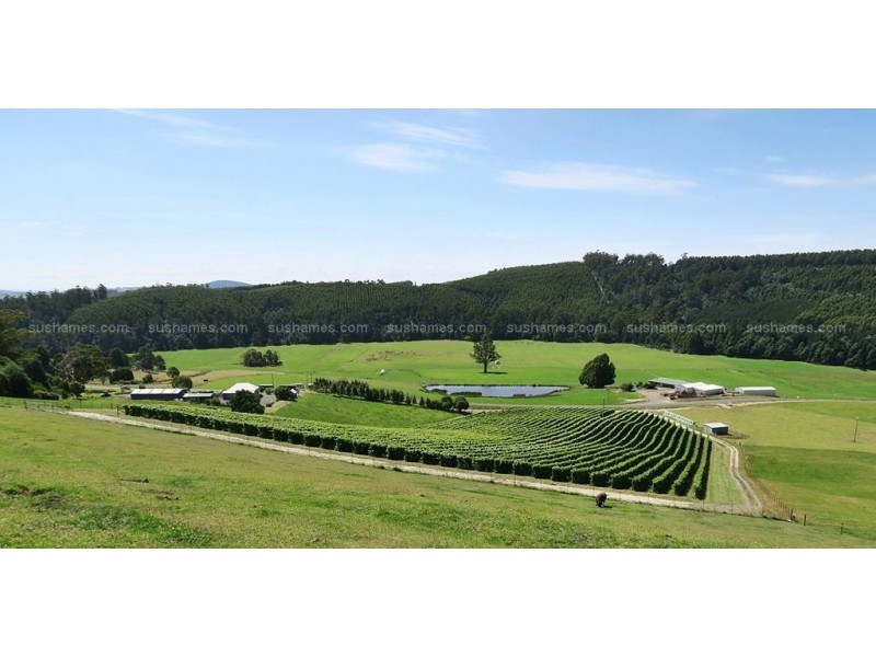 106 Browns Road, North Lilydale TAS 7268