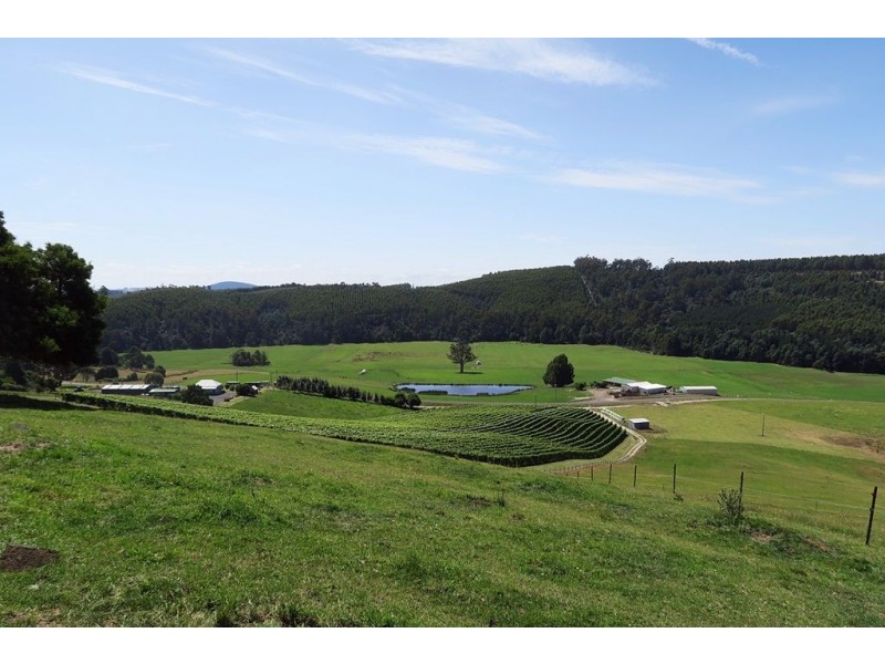 106 Browns Road, North Lilydale TAS 7268