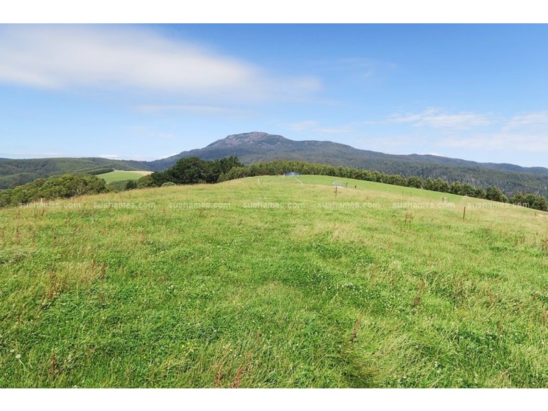 106 Browns Road, North Lilydale TAS 7268