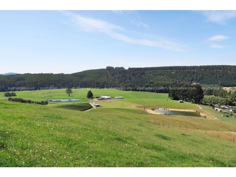 106 Browns Road, North Lilydale TAS 7268