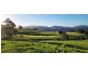 182 Hardwicks Road, Railton TAS 7305