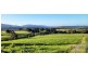 182 Hardwicks Road, Railton TAS 7305