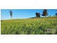 182 Hardwicks Road, Railton TAS 7305
