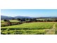 182 Hardwicks Road, Railton TAS 7305
