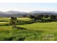182 Hardwicks Road, Railton TAS 7305