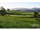 182 Hardwicks Road, Railton TAS 7305