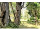 6 Oakwood Drive, Ambleside TAS 7310