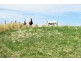 21 Bellawongarah Road, Paradise TAS 7306