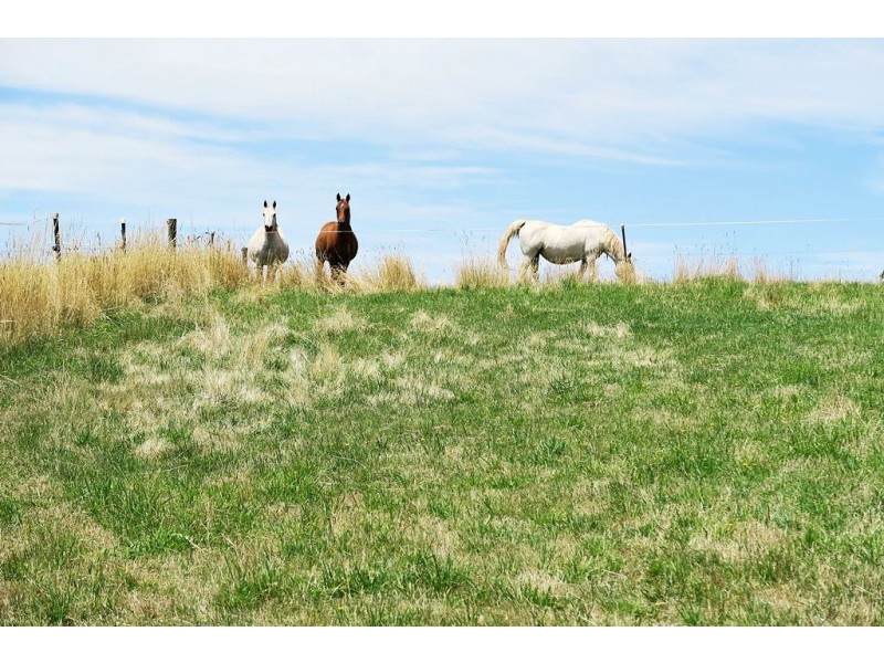 21 Bellawongarah Road, Paradise TAS 7306