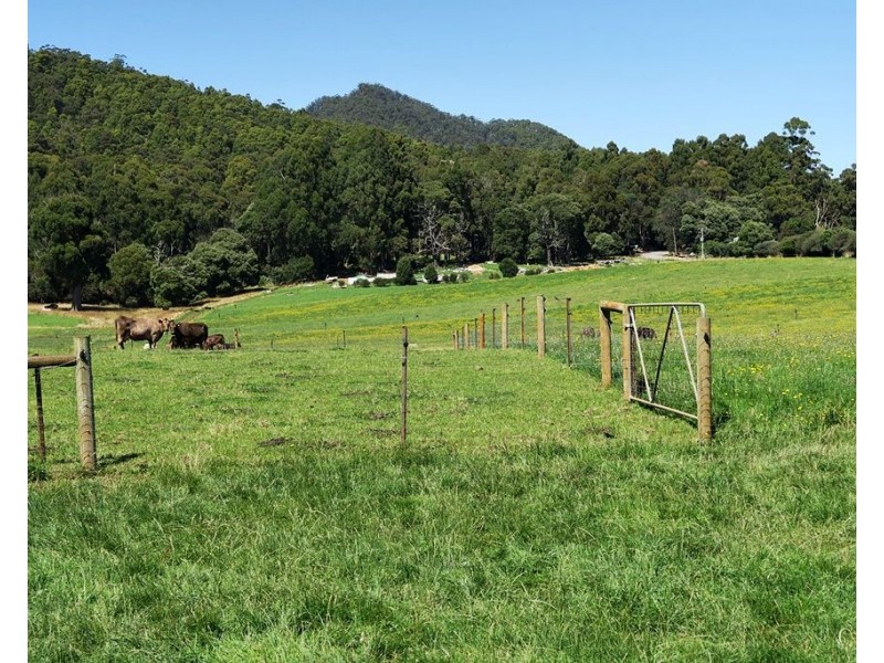 851 IRONCLIFFE ROAD, Penguin TAS 7316