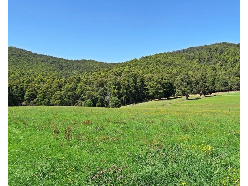 851 IRONCLIFFE ROAD, Penguin TAS 7316