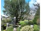 1589 Sheffield Road, Barrington TAS 7306