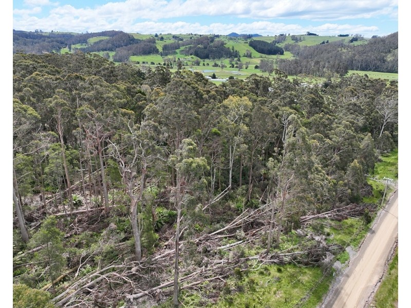 Lot 1 McCoys Road, Claude Road TAS 7306