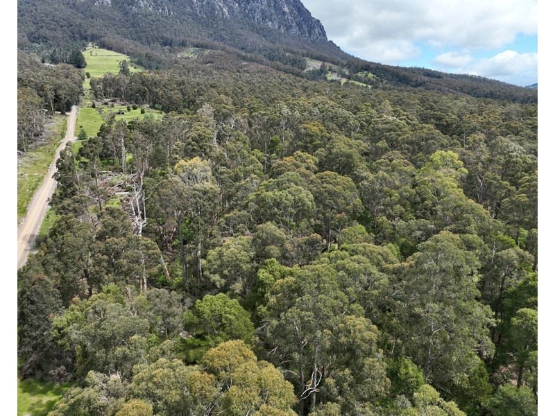 Lot 1 McCoys Road, Claude Road TAS 7306
