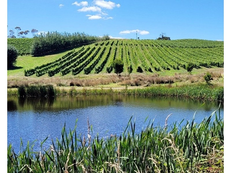 76 Brooks Road, Lalla TAS 7267