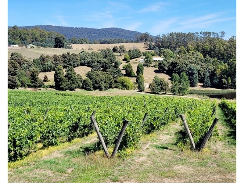 76 Brooks Road, Lalla TAS 7267