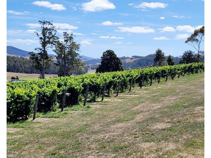 76 Brooks Road, Lalla TAS 7267