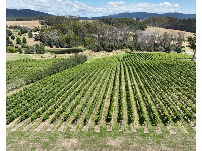 76 Brooks Road, Lalla TAS 7267