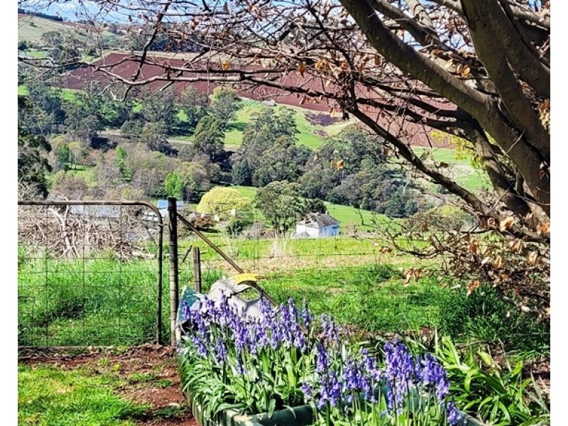 52 Wilmot Road, Forth TAS 7310