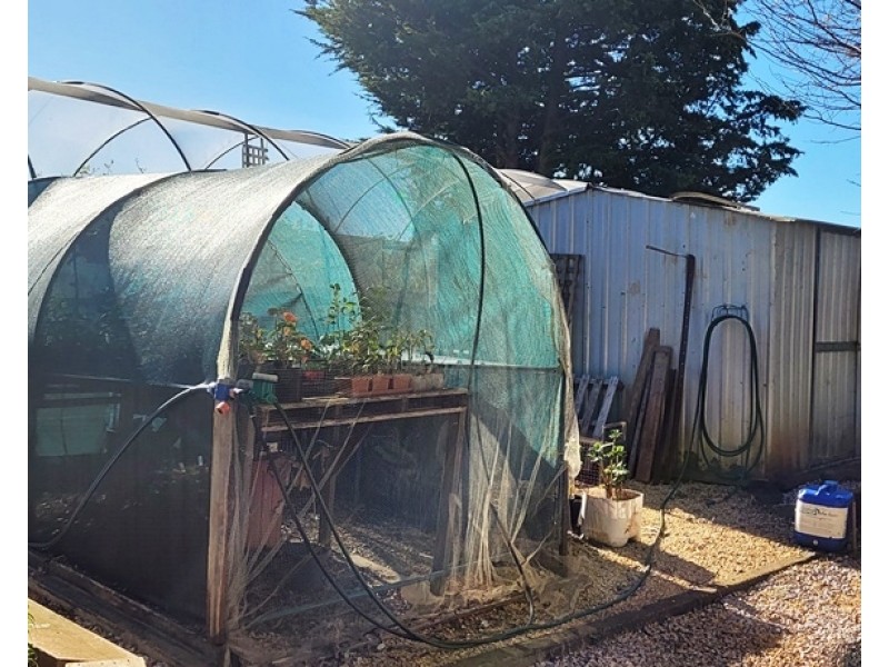 52 Wilmot Road, Forth TAS 7310