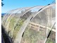 52 Wilmot Road, Forth TAS 7310