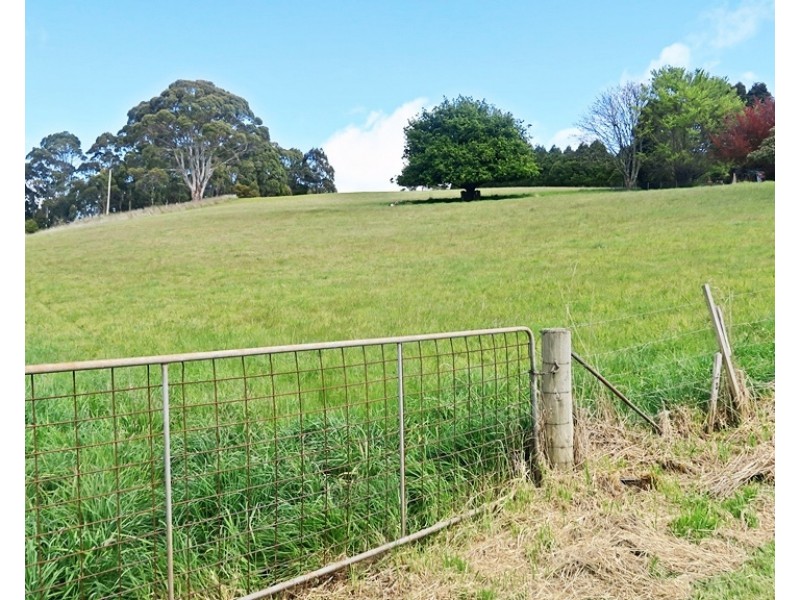 52 Wilmot Road, Forth TAS 7310