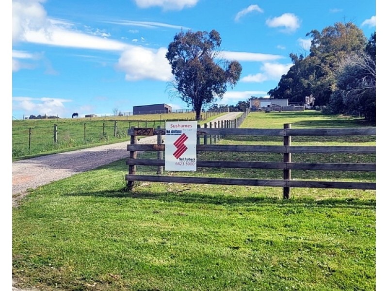 229 Melrose Road, Aberdeen TAS 7310