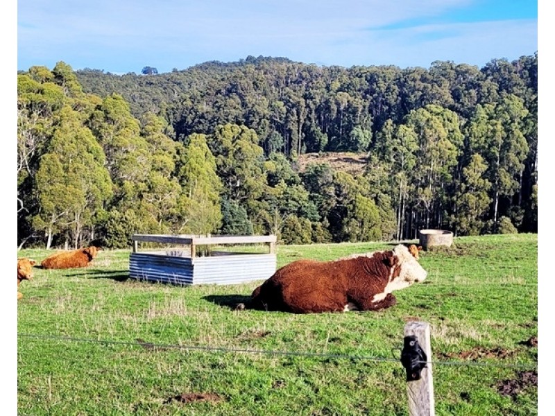 229 Melrose Road, Aberdeen TAS 7310