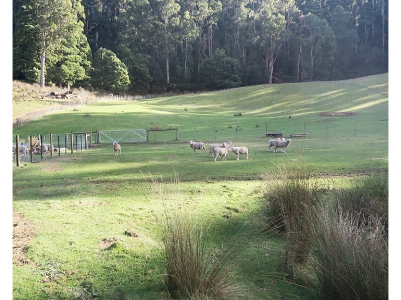 229 Melrose Road, Aberdeen TAS 7310