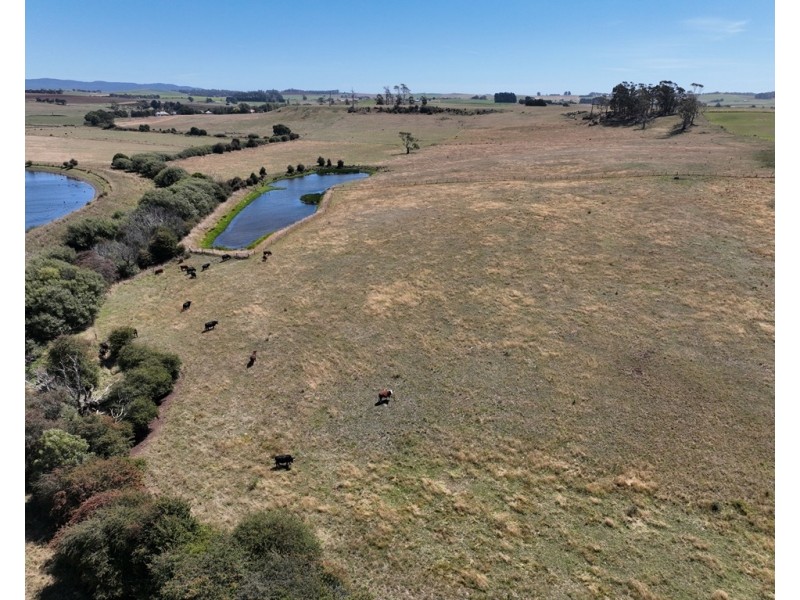 5129 Frankford Road, Thirlstane TAS 7307